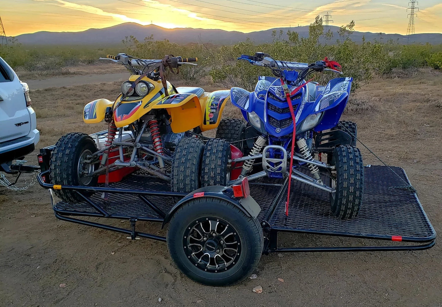 Endeavor Powersport 6'x9' Utility